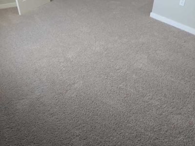 Local Carpet Installers