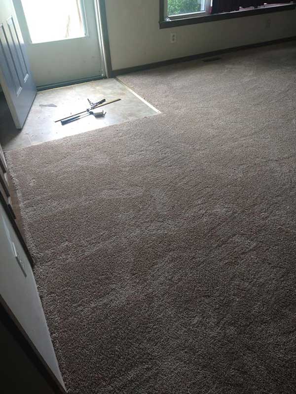 Carpet On Concrete Floor